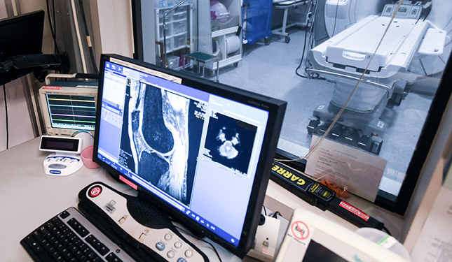 Computer screen showing images of x-ray bones