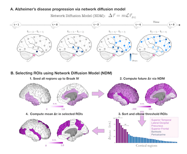 Longitudinal FTP prediction from baseline data via NDM.