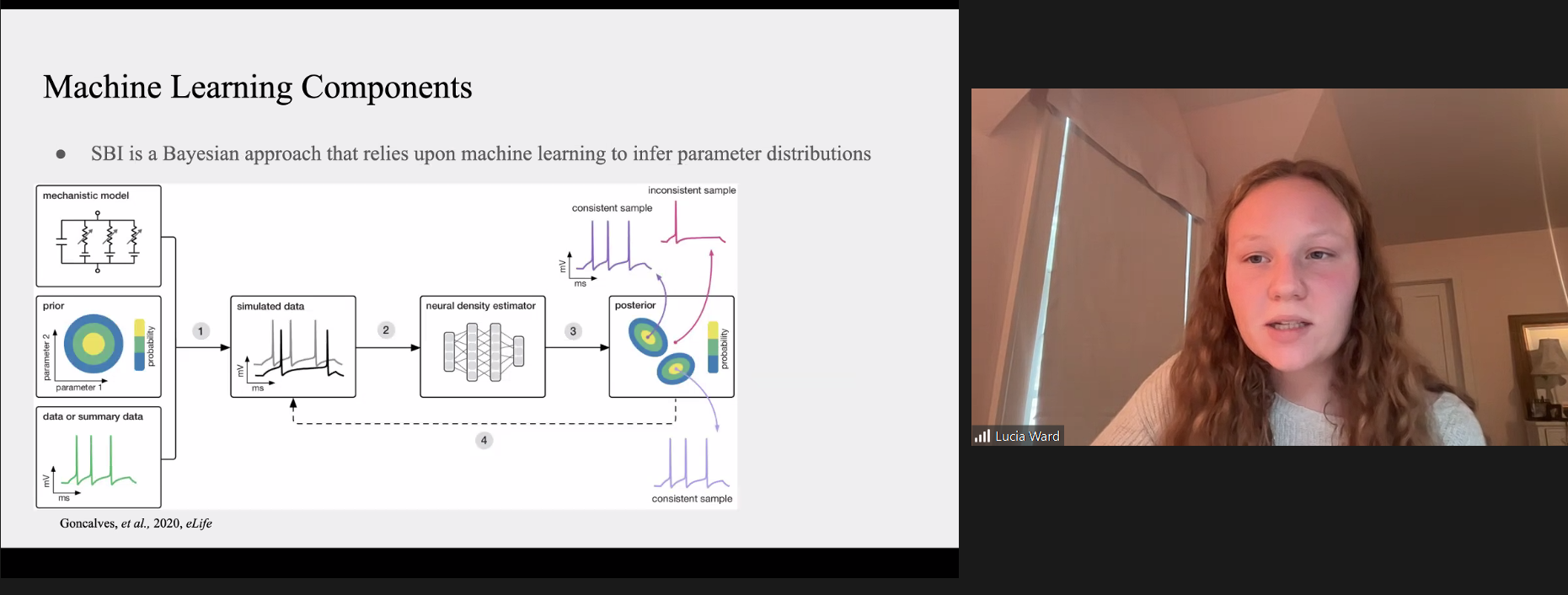 Graphical abstract of the research