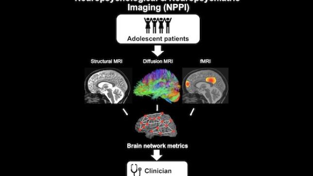 Neuropsychological and Neuropsychiatric Imaging (NPPI) in adolescents