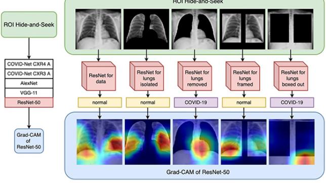 raw chest X-ray to ROI Hide-and-Seek for validating deep learning inference
