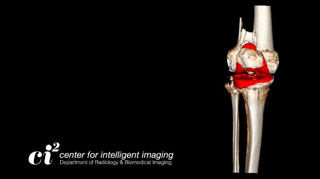 The 3DLab provides valuable services by enhancing traditional 2D images, removing noise and creating 3D visualizations of anatomical regions that are easier for interpretation.