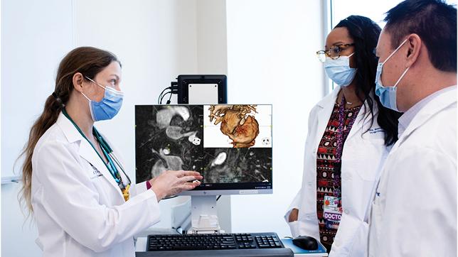 Doctors discussing imagery on computer screen