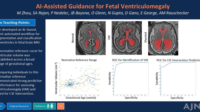 AI-Assisted Guidance for Fetal Ventriculomegaly
